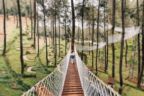 Bagi-bagi Bibit Anggrek di Hari Menanam Pohon Indonesia