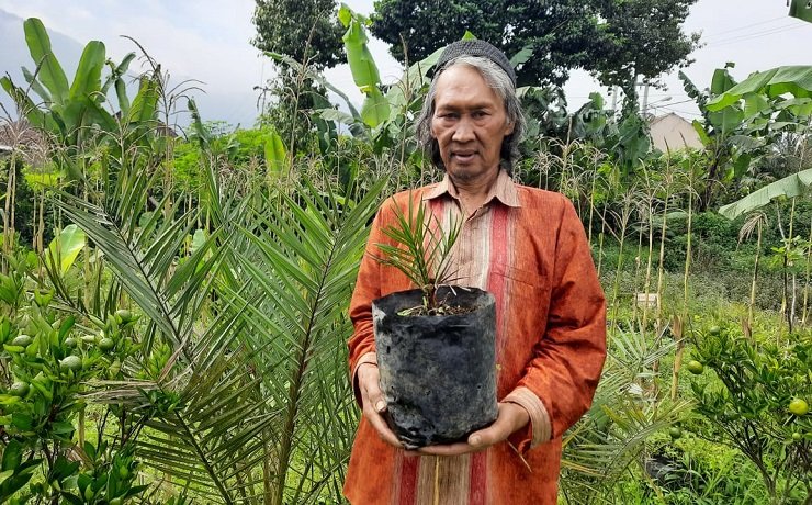 Pria Ini Berhasil Tanam Pohon Kurma di Kab Bandung untuk Usaha