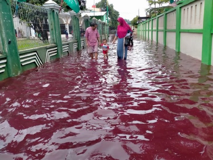 Geger Banjir Warna Merah Darah di Jenggot, Ini Penyebabnya