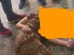 Sakit Hati, 2 Wanita Dibunuh Oknum Polisi