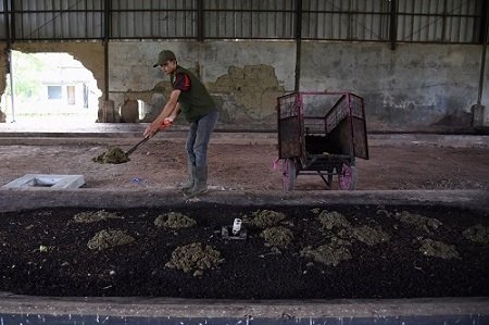 Maggot, Solusi Tangani Sampah di Kabupaten Bandung