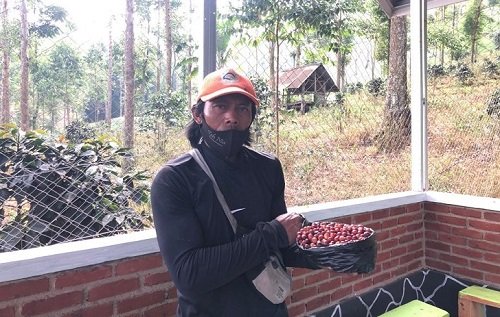 CSR PLN Bisa Sejahterakan Masyarakat