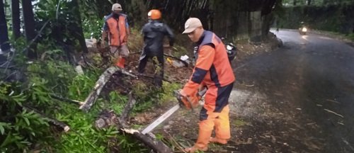 Hujan Deras Sebabkan Tanah Longsor di Lembang