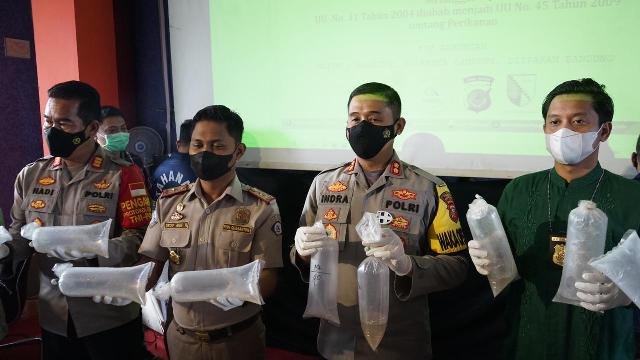 Penyelundupan Benih Lobster Senilai Rp 2 Miliar Via Ciwidey Digagalkan