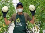 Smart Greenhouse untuk Program Petani Milenial Panen Melon dan Paprika