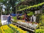 Taman Tegalega Bandung | Jual Tanaman Hias Rp7 Ribu sampai Puluhan Juta