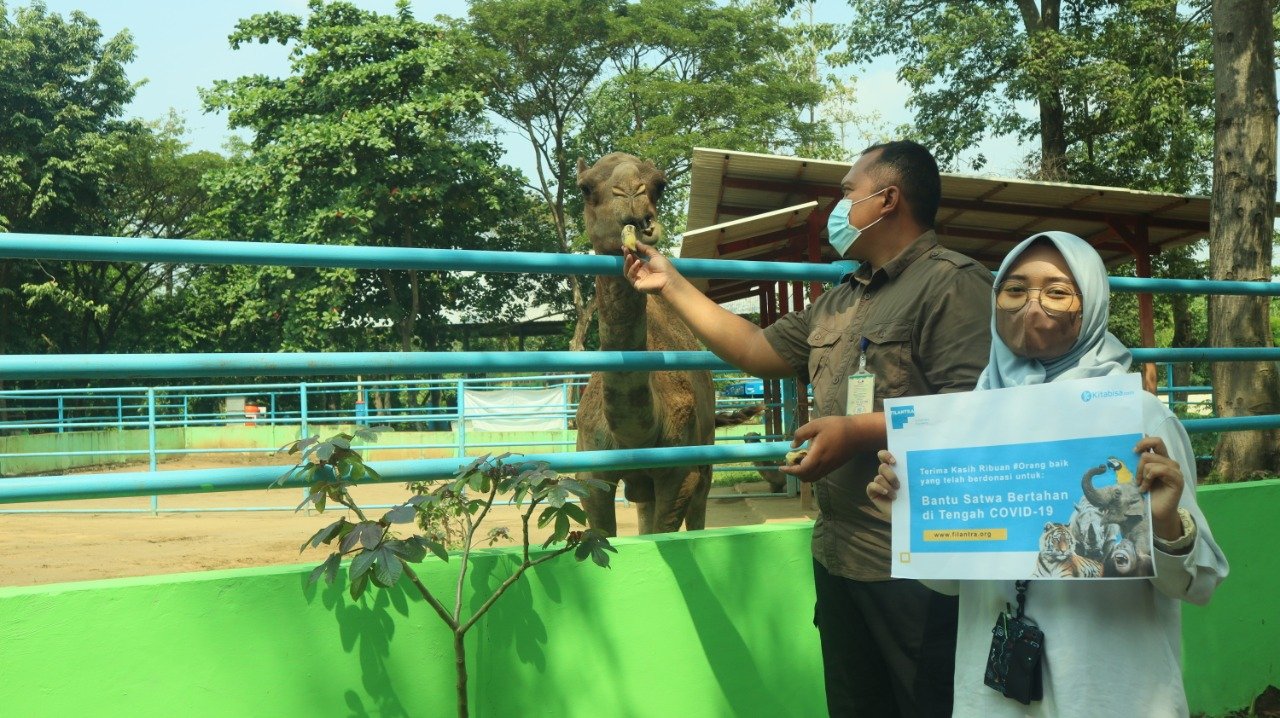 Gerakan Bersama Peduli Satwa ala Filantra