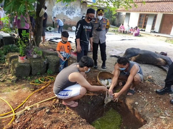 Taati Aturan Pemerintah, Pemotong Hewan Kurban di Cileungsi Ikuti Tes Swab, Hasilnya Negatif