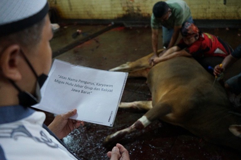 Momen Idul Adha, PT Migas Hulu Jabar Salurkan 20 Sapi