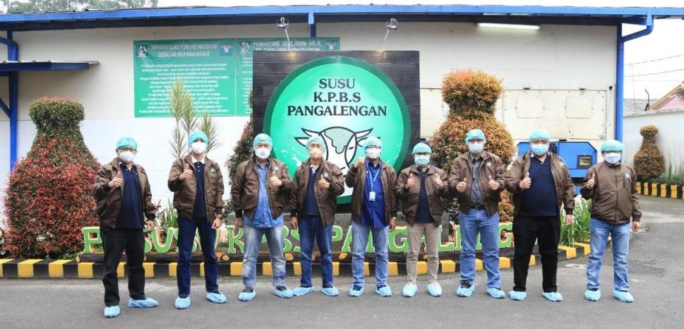 LPDB-KUMKM Rancang Solusi Masalah Pakan Ternak, Gandeng Perhutani dan PTPN VIII