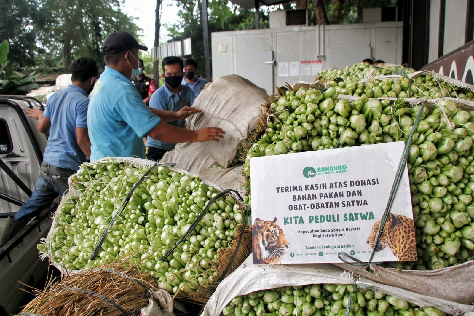 Bazooga Terima Bantuan Pakan Sayuran untuk Satwa