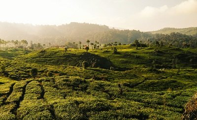 Desa Wisata Alamendah Masuk 100 Besar Ajang ADWI, Butuh Infrastruktur Penunjang Pariwisata