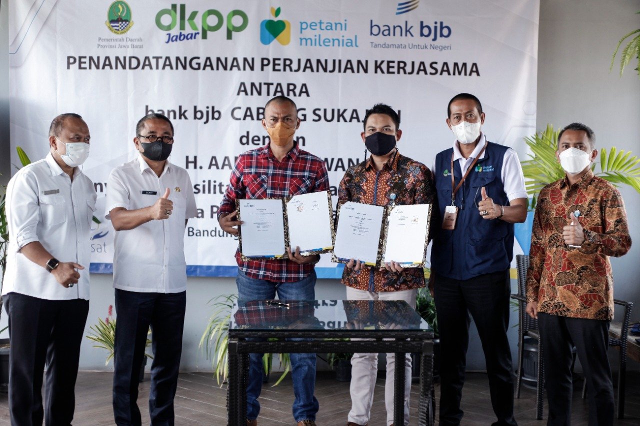 Bank bjb dan Kelompok Ternak Haji Aang Gunawan Sepakati Budidaya Penggemukan Sapi