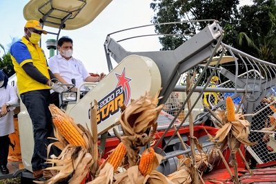 Tingkatkan Kesejahteraan, Pemerintah Dorong Produktivitas dari Komoditas Unggulan Provinsi Gorontalo