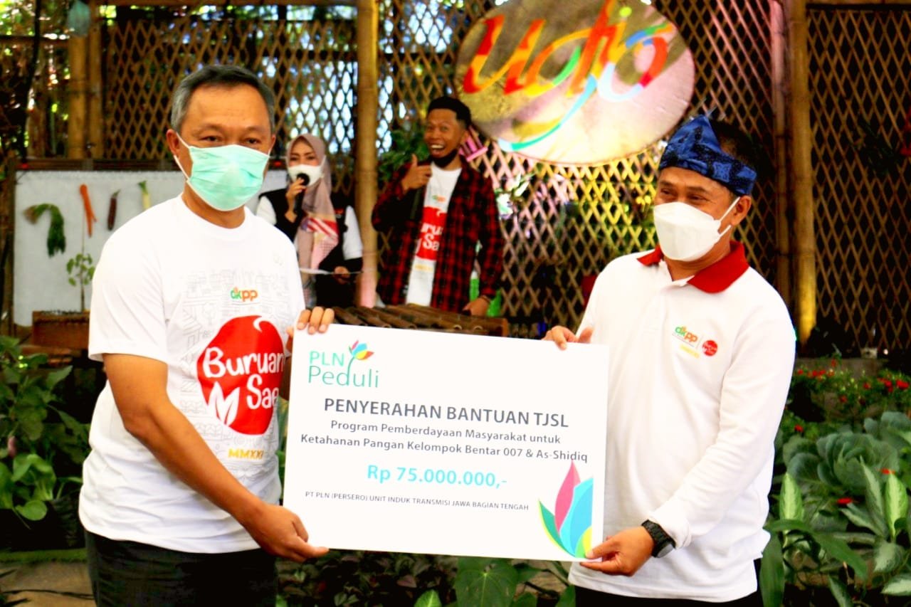 Dukung Buruan Sae, PLN UIT JBT Salurkan Program TJSL Ketahanan Pangan