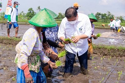 Airlangga Hartarto: Sektor Pertanian Dorong Penguatan Ekonomi