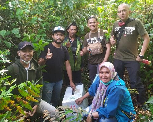 Balai Besar KSDA Melepasliarkan Trenggiling di Cagar Alam Gunung Tilu