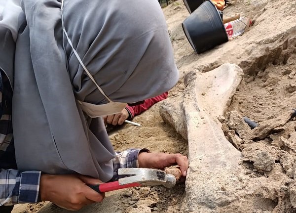 Tim ITB Temukan Fakta Keberadaan Hewan Purba di Waduk Saguling