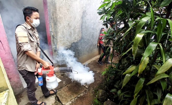 Pencegahan Demam Berdarah di Pemukiman Padat Penduduk