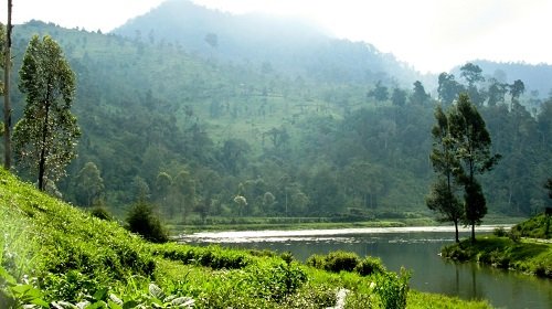 Ridwan Kamil Sampaikan Pemulihan Sungai Citarum di Konferensi Dunia COP26