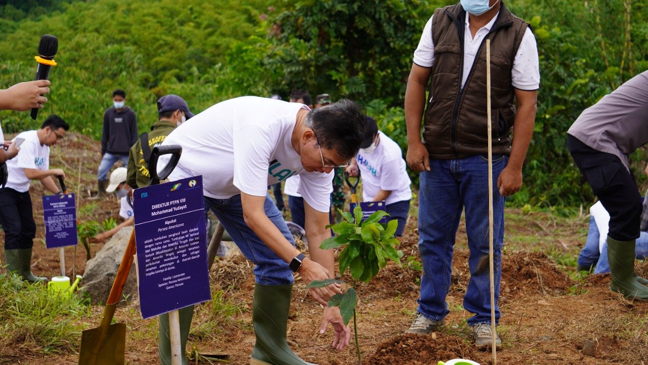 Eric Tohir Minta Pegawai Kementerian dan BUMN Berpartisipasi di Bulan Penanaman Pohon