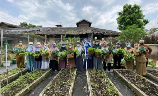 DKPP Pemkot Bandung Beri Pelatihan Pertanian Gratis Lewat Program Ngawadahan