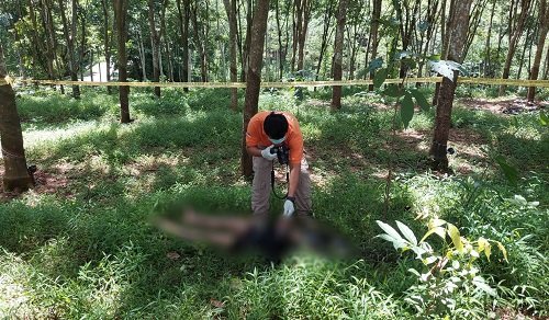 Mayat Pemuda di Perkebunan Karet KBB Diduga Korban Pembunuhan