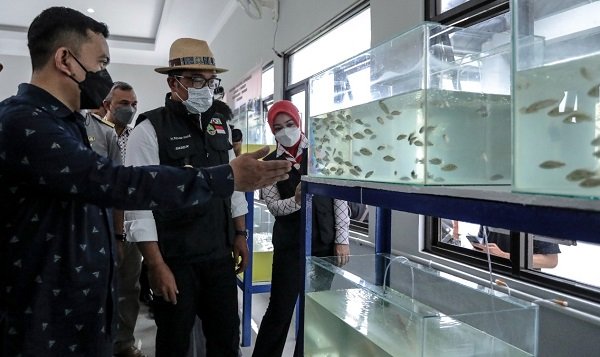 Segitiga Rebana Diproyeksi jadi Pusat Ekonomi, Pemprov Siapkan SDM Berdaya Saing
