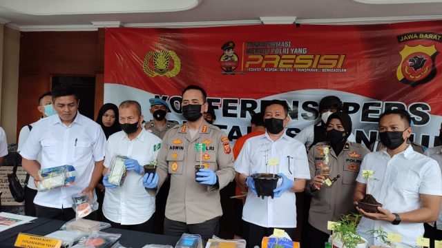 Pria di Bandung Dibekuk Usai Nekat Tanam dan Jual Ganja Secara Online