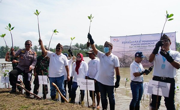 Tanam 2061 Pohon Mangrove, bank bjb Dukung Indonesia Tanpa Pencucian Uang dan Pendanaan Teroris