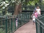 Tempat wisata di bandung Taman Hutan Kota Forest Park di Babakan Siliwangi