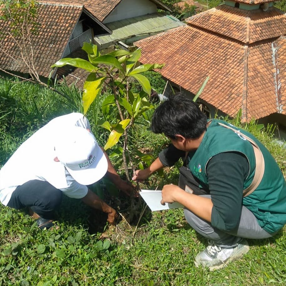 Wujudkan Lingkungan Hijau dan Produktif, PLN Salurkan Bantuan 926 Bibit Pohon