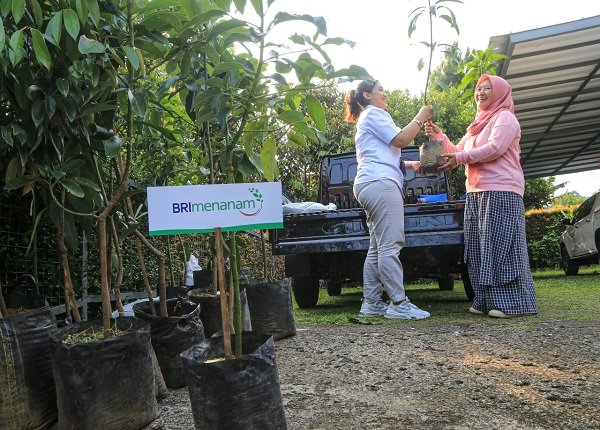 Dukung Net Zero Emission, BRI Menanam Proyeksikan Kontribusi Penurunan Emisi Karbon Hingga 23% di 2025