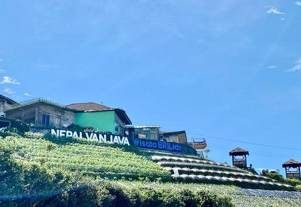 Berdayakan & Dorong Pertumbuhan Ekonomi Desa, BRI Kembali Gelar Program Desa BRILian Batch III 2022