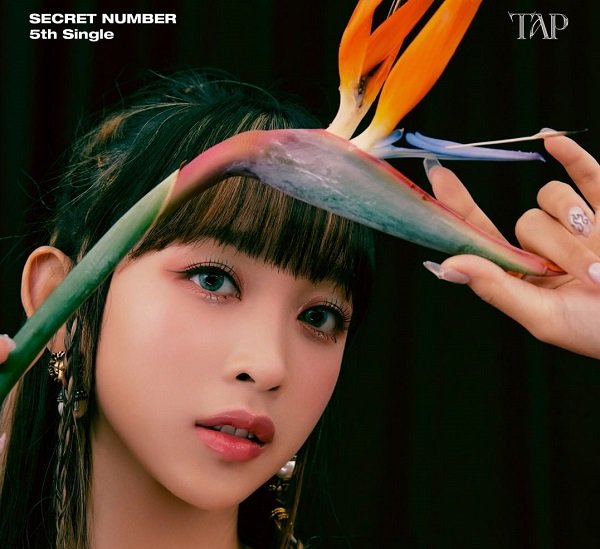 5 Idol KPop dari Indonesia, Ada Dita Karang Secret Number