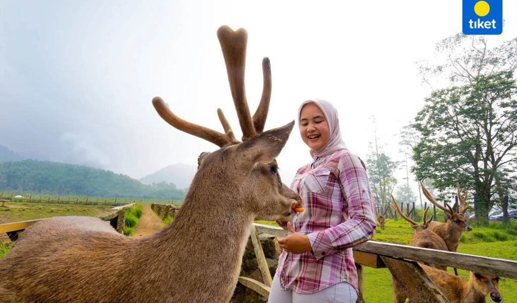 Ide Kado Valentine 2023: Ajak Liburan Romantis Terkasih Pakai Promo ala tiket.com