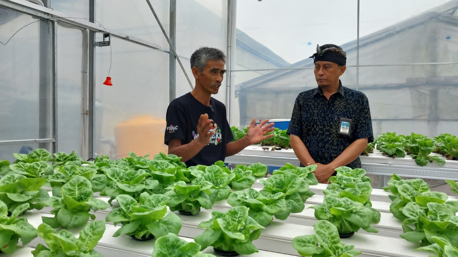 Petani Milenial Kembangkan Varietas Baru Untuk Agro Wisata di Buleleng dengan Smart Green House