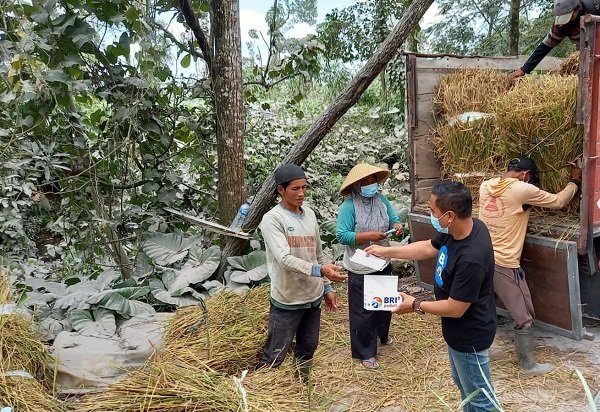 Tanggap Bencana Erupsi Gunung Merapi, BRI Salurkan Bantuan Bagi Warga Terdampak