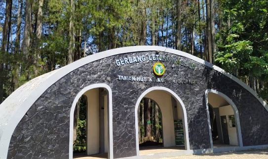 Tahura Djuanda, Destinasi Wisata Sekaligus Ruang Edukasi