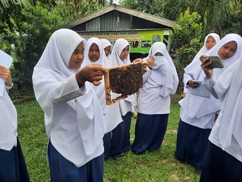 Kisah Pengusaha Madu Siantar Raih Sukses dan Berdayakan Masyarakat, Sukses Bersama BRI