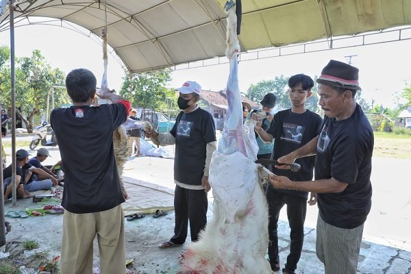 GMP Potong Hewan Kurban Bersama Warga di Indramayu