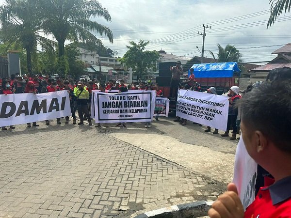 Terlantar Akibat Penyidikan di Bareskrim Polri, Ratusan Karyawan PT Batuah Energi Prima Gelar Aksi Damai