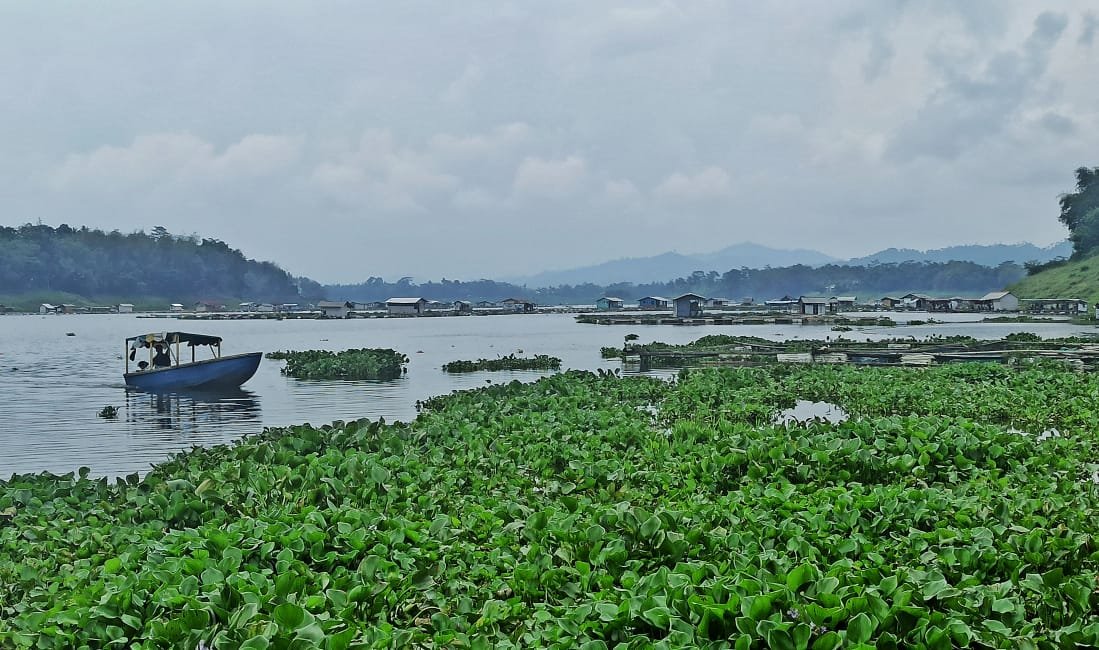 Jangan ke Waduk Saguling, Banyak Nyamuk