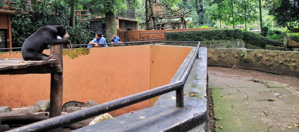 Kuasa Hukum Yayasan Margasatwa Tamansari Pertanyakan Keputusan Pemkot, Ema : Segera Amankan Aset, Bukan Kebun Binatang