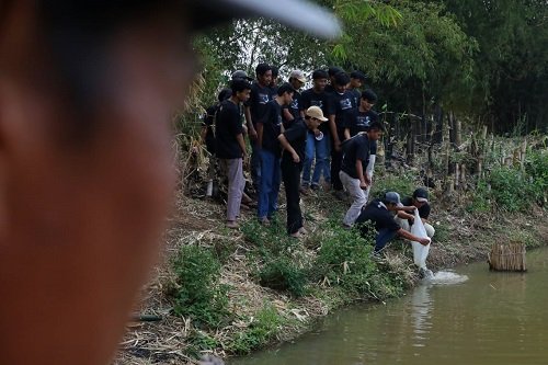 Budidaya Ikan Diharapkan Berdampak pada Konsumsi Makanan Bergizi