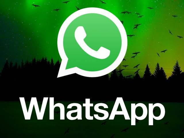 Cara Menonaktifkan Centang 2 (Tanda Sudah Diterima) di GB WhatsApp