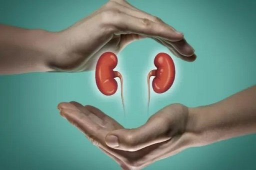 Dokter dan Ahli Biokimia Sebut Tubuh Mampu Bersihkan BPA