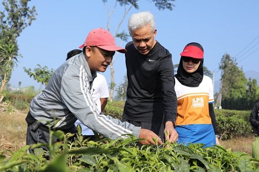 Ganjar dan Siti Atikoh Jalan Pagi Sambil Berbincang dengan Petani Kebun Teh di Cianjur