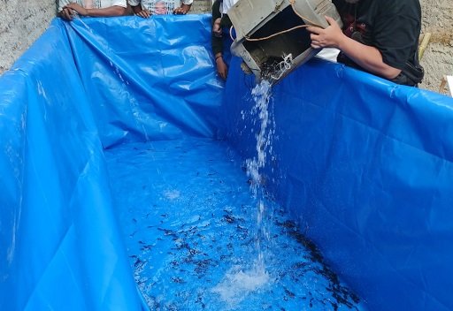 Ganjar Muda Padjajaran Berdayakan Warga Lewat Pelatihan Budi Daya Ikan Lele dan Hias