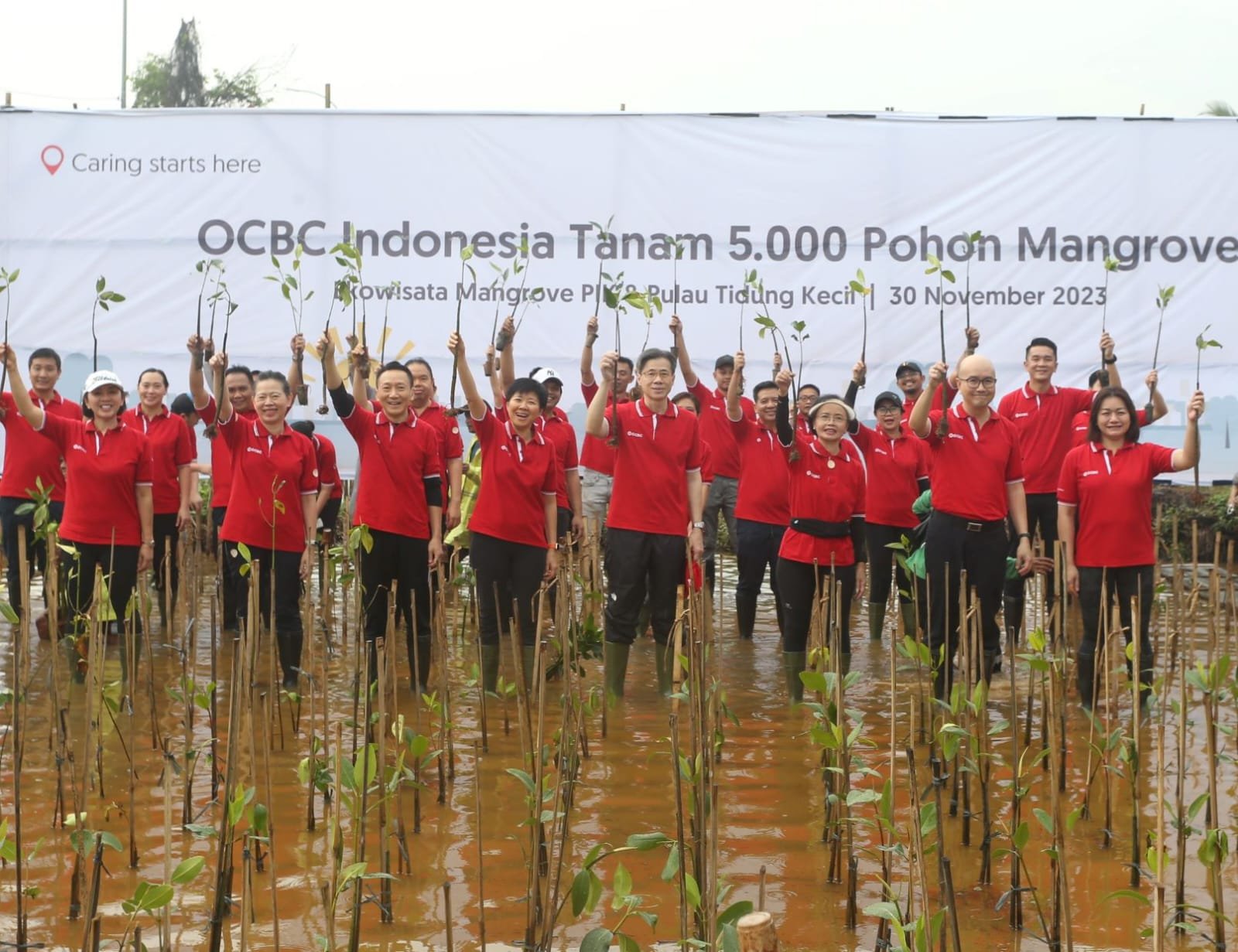 OCBC Indonesia Tegaskan Komitmennya dalam Melestarikan Lingkungan Hidup dengan Menanam Mangrove Bersama Mangrove Jakarta Community